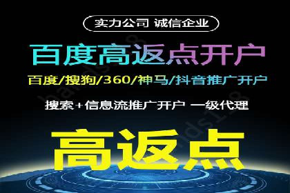 百度平台推广：成功案例解析与效果分析